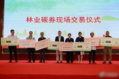 通道林農再獲一項權利！懷化市林地生態系統碳匯權證暨林業碳券在通道首發