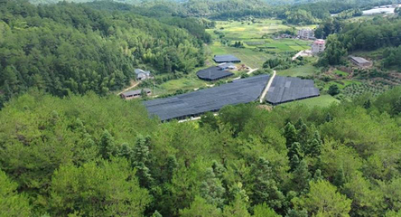鐘鴻輝綠色家庭 讓大地披綠，讓綠色生活融入日常