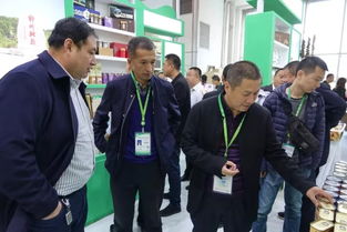 塔河縣攜特色電子產品亮相黑龍江綠博會與大米節，助力產業融合發展