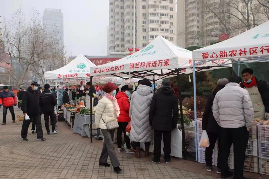 青島園藝市集盛大開集，60余種物美價廉林業產品任您選購